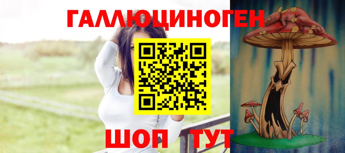 Псилоцибиновые грибы Magic Shrooms  что такое наркотик  Вход с VPN  Шали  Галлюциногенные грибы MAGIC MUSHROOMS 