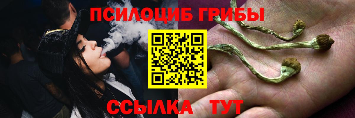 Галлюциногенные грибы прущие грибы Шали